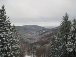 silvestr 2011